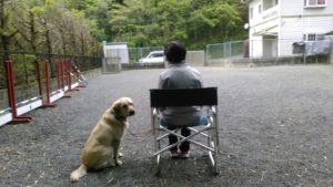 Read more about the article ハル君･･･Chair  training