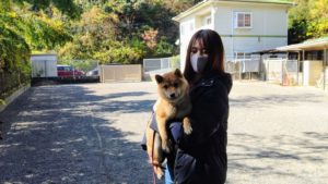 Read more about the article こまめ ちゃん    🐕   スタート