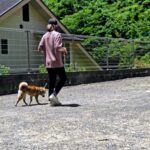 コテツくんの　お勉強タイム☘️