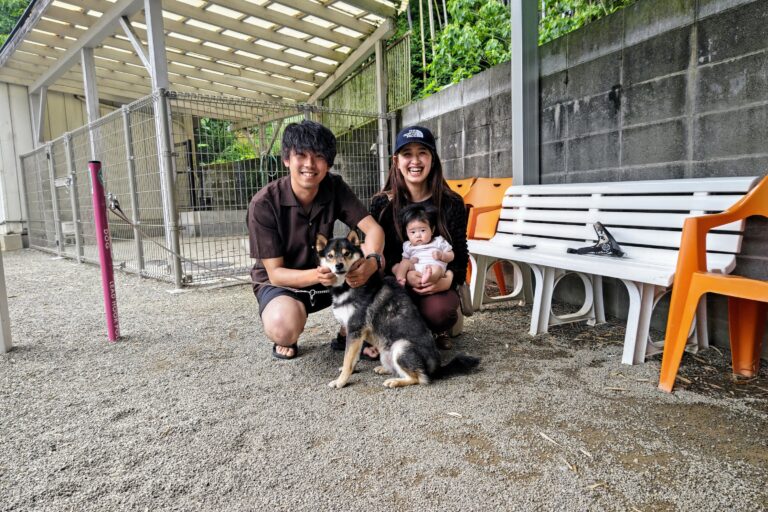Read more about the article 柴犬の豆蔵くん😉
